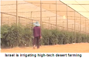 desert_farming
