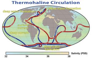 Thermohaline_Circulation